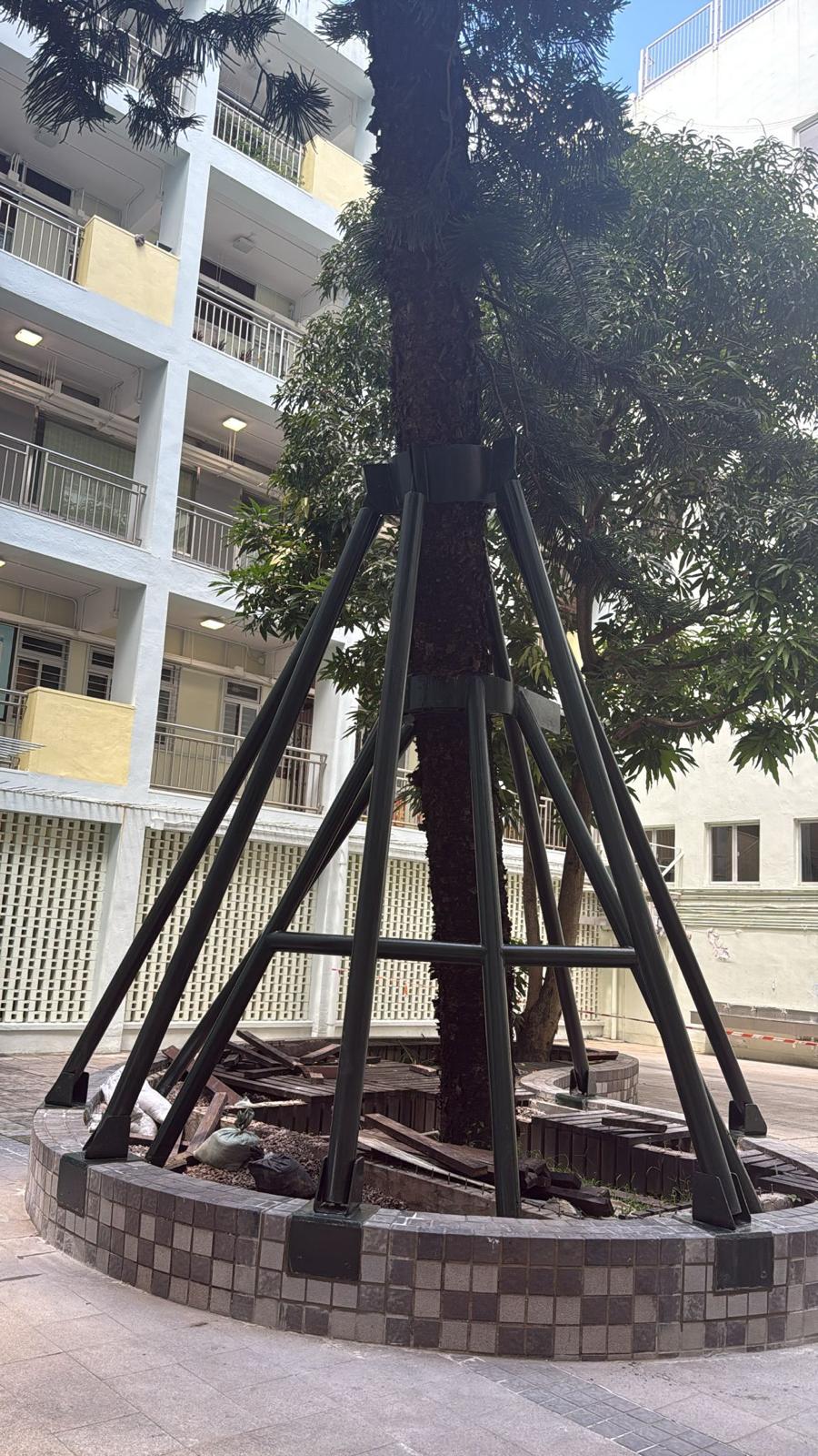 綠化鋼架或垂直綠化工程